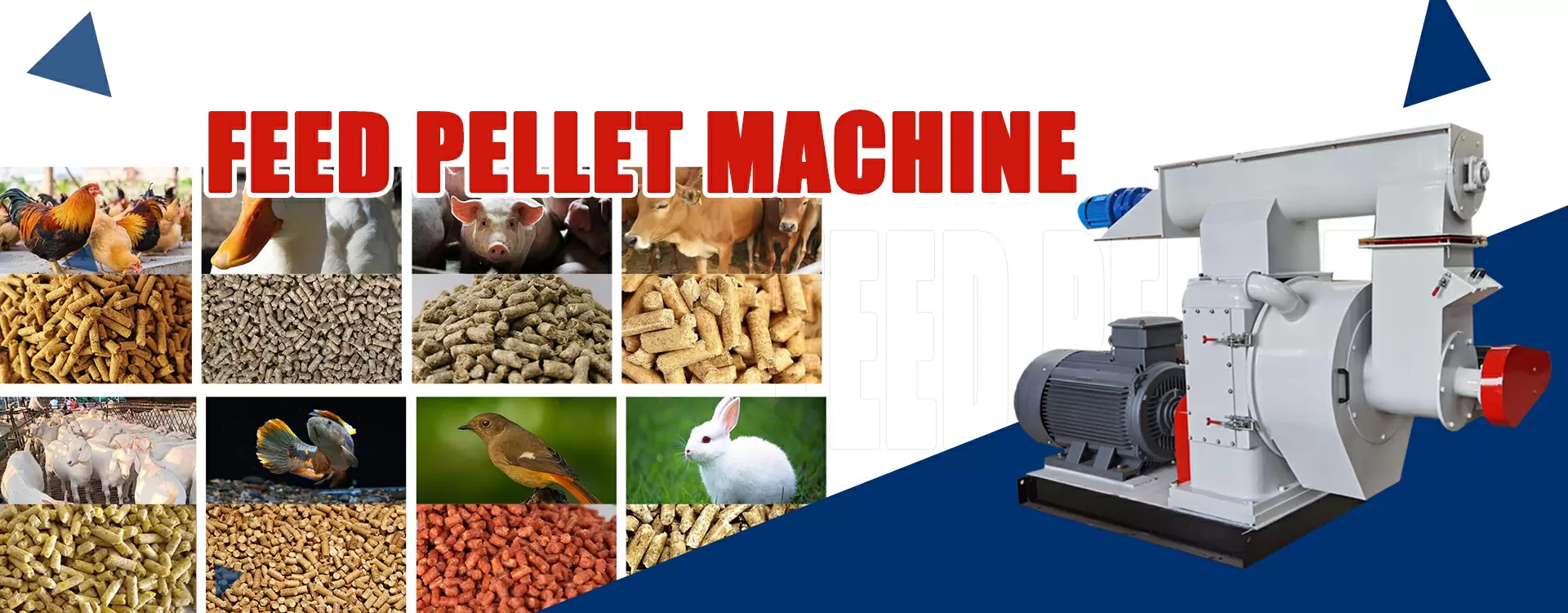 Jinan Proveg Extruder - Slide 3